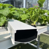 Tuyau NFT anti-algues 100*50mm noir à l'intérieur blanc à l'extérieur pour culture hydroponique de légumes-feuilles en serre