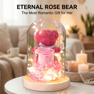 Rosa Eterna en Cúpula de Cristal con LED, Ramo de Rosas con Musgo Preservado, Nuevo Diseño, Regalo para San Valentín y el Día de la Madre - Product Image 4