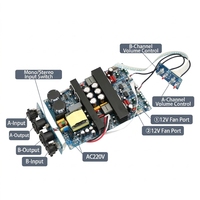 IRS2092 carte d'amplificateur de puissance HIFI haute puissance double canal numérique classe D 500W + 500W dépasse LM3886