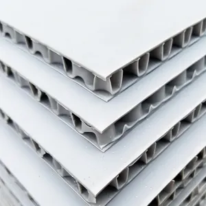 Customized Engineering Plastic Honeycomb Panel PP Honeycomb Sheet