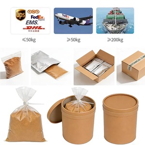 Poudre de super-aliments verts biologiques de haute qualité avec probiotiques pour le bien-être quotidien - Product Image 5