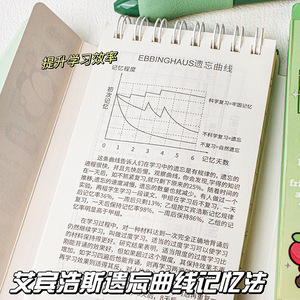 Carnet de notes Panda Word, mini carnet portable pour l'étude du vocabulaire anglais, pour les étudiants et les examens - Product Image 4