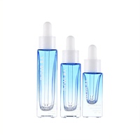 Botol Kaca Pipet Tetes Kotak 5ml 10ml 15ml 1oz untuk Kemasan Minyak Esensial Kosmetik, Warna Kustom Grosir dengan Sablon OEM