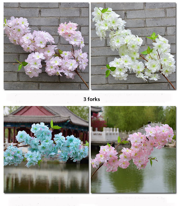 cherry blossom  branches