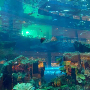 Ervaren Fabriek Hexagon <span class=keywords><strong>Aquarium</strong></span> - Product Image 5