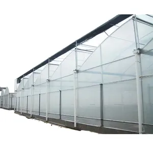 Rumah kaca tomat struktur rumah kaca multifungsi profesional Tiongkok pertanian rumah hijau