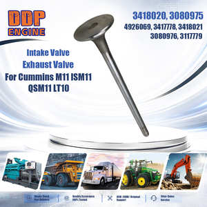 เครื่องจักรก่อสร้าง3080976 3117779สำหรับ Cummins M11 ISM11 LT10 QSM11 - Product Image 2