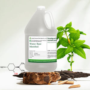 바디 스프레이 멘톨 크리스탈 멘톨 액체 1 갤런 워터베이스 멘톨 크리스탈 미스트 냉각 - Product Image 1