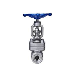 Industrial Grade DN25 PN40 A25 Control Angle <strong>Valve</strong> with F304 316 Welded Bellow Sealed <strong>Globe</strong> Manual - Product Image 6