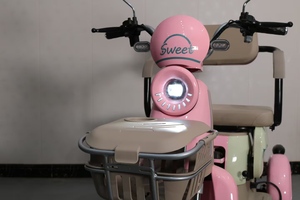 Tricycle électrique EEC Trice 300-8 48V à 3 roues en acier avec moteur arrière de 600W pour adultes et personnes âgées, carrosserie ouverte - Product Image 4