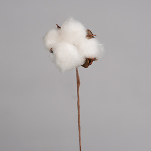 Bouquet de fleurs séchées en coton naturel, longues branches, accessoires décoratifs blancs pour la maison, l'hôtel, la photographie de mariage - Product Image 3