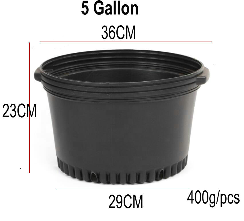 5 gallon