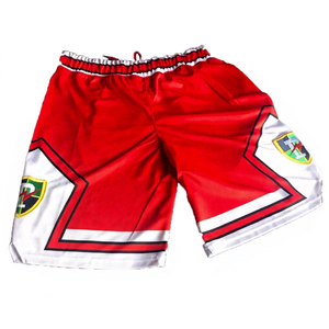 Pantalones Cortos/Trunks de MMA Cómodos para Hombre, Diseño Personalizado, con Cordón Ajustable, Ropa de Boxeo y Artes Marciales, Hechos de Poliéster, Logotipo Personalizado, Cualquier Color - Product Image 1