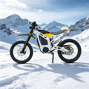 Motocicleta Eléctrica para Adultos, 3000W, 72V, 40Ah, Motocross, Motocicleta Todoterreno de Alta Velocidad - Product Image 2