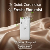 Diffuseur d'air ultrasonique portable en vente directe d'usine, couleur noir et blanc, machine à parfum pour hôtel, maison, extérieur, sans bruit