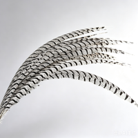 Plumes de queue de faisan Lady Amherst zébrées super longues (80-90cm, 90-100cm) pour costumes de carnaval et fournitures de fête - Vente en gros