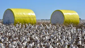 Manufacturer Direct Sales of High-quality PE <b>Wrap</b> Film Resistant to Temperature Corrosion Blue Ocean <b>Plastic</b> Cutting Service - Product Image 4