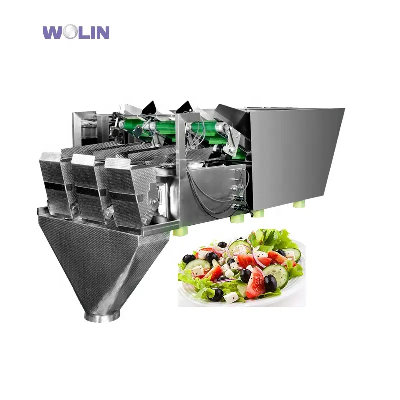 Weighlin otomasyon bölüm taze kesilmiş salata sebze meyve otomatik lineer 2 4 kafa bant konveyör tartı paketleme makinesi