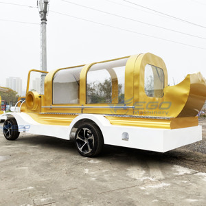 Cercueil électrique doré personnalisable de haute qualité pour transport spécial des salons funéraires - Product Image 3