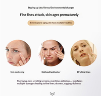 Masques Faciaux au Collagène Nouveau Design Hydratants 24K Doré Luxe Masque Visage Femme au Collagène Blanchissant Hydrogel