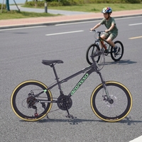 Vélo de montagne pour enfants à suspension 20 pouces, 21 vitesses réglables, prix de gros usine, VTT