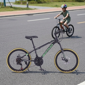Bicicleta de Montaña para Niños de 20 Pulgadas con Suspensión y 21 Velocidades Ajustables, Precio de Fábrica al por Mayor, Bicicleta MTB - Product Image 5