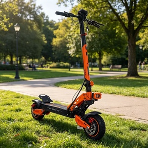 Trottinette électrique tout-terrain pour adultes, moteur 800W, batterie lithium 48V, cadre pliable, freins à double disque, pour l'exportation mondiale - Product Image 6