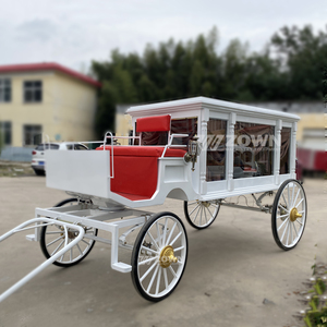Carroza Fúnebre Eléctrica Vintage con Certificación CE Europea para Uso en Funerarias Locales - Product Image 2