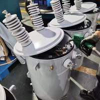 Transformateurs immergés dans l'huile monophasés montés sur poteau, en aluminium, 60 Hz, 25 KVA, 50 KVA, 100 KVA, 333 KVA, 13,8 KV, 34,5 KV, 480 V