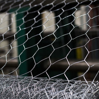 Grillage hexagonal en acier galvanisé par 0.8mm pour la clôture de poulet de ferme