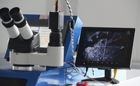 Nouvelle machine de soudage laser YAG automatique à impulsions de 200 W, portable, de type bureau, haute précision, pour la réparation de bijoux en or/argent