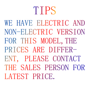 Bicicletta Elettrica a 3 Ruote Stile Olandese con Pedalata Assistita per Uso Familiare e Trasporto Bambini, Prodotta in Cina - Product Image 6