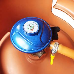 Regolatore di cottura a <span class=keywords><strong>Gas</strong></span> gpl regolabile a bassa pressione JG con misuratore di pressione del <span class=keywords><strong>Gas</strong></span> naturale regolatore di pressione gpl con manometro - Product Image 5