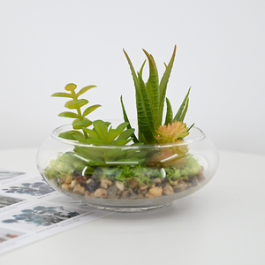 14cm Artdragon Suspendu Intérieur <span class=keywords><strong>Plante</strong></span> Succulente Artificielle Ronde En <span class=keywords><strong>Verre</strong></span> Globe Terrarium <span class=keywords><strong>Boule</strong></span> pour La Décoration <span class=keywords><strong>De</strong></span> La Maison - Product Image 2