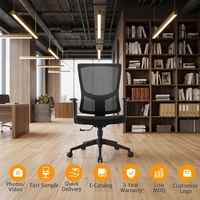 Chaise de bureau exécutive moderne en maille avec base en acier, accoudoirs réglables, design ergonomique, fonction pivotante, réglage de la hauteur