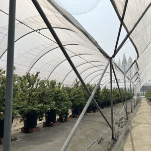 Serra a tunnel multispan da 1 ettaro per agricoltura, con sistema di drenaggio per mirtilli e fragole - Product Image 2