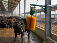 Brosse de nettoyage rotative entièrement automatique pour vaches, 50 cm x 60 cm, brosse de toilettage pour le corps du bétail destinée aux fermes laitières