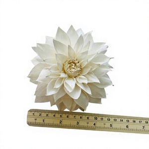 VADEE BIG FLOWERS DAHILA, Flor de Madera de Sola de 15 cm, Artesanía Hecha a Mano, Rosa Inglesa Sostenible, Modelo 002, Planta de Sesbania - Product Image 1