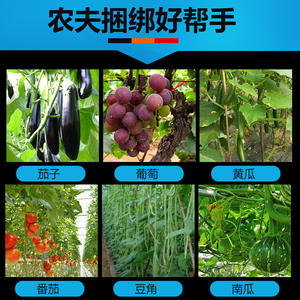 Juego de Herramientas para Atar Tomates, Pepinos y Vid de Uva, Herramienta de Jardinería para Bricolaje, Máquina de Clavos y Cinta, Personalizable OEM - Product Image 4