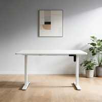 Table de bureau électrique réglable en hauteur avec moteur, mobilier de bureau OEM, vente en gros