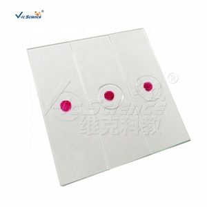 Juego de 28 portaobjetos de microscopio preparados para <span class=keywords><strong>el</strong></span> desarrollo de embriones de rana, juego de biologí<span class=keywords><strong>a</strong></span> educativa en ciencia médica, juego de portaobjetos preparados - Product Image 2