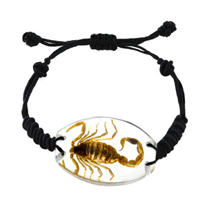 سوار مجوهرات من الراتنج المضيء مع حشرات حقيقية خنفساء العقرب العنكبوت حلي للهالويين للأطفال - Product Image 3