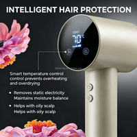 Sèche-cheveux professionnel compact 1500W à moteur électrique DC, ionique, haute vitesse, 3 vitesses, protection thermique, pour salon et hôtel