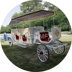 รถม้าชมวิวสุดหรู คุณภาพสูง ดีไซน์สง่างาม โครงสร้างเหล็ก Q235B สำหรับ 4-6 คน - Product Image 6