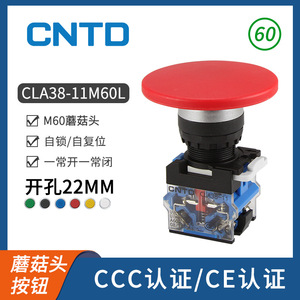 Interrupteur à bouton-poussoir autobloquant électrique CNTD Changde CLA38-11M60L-R en plastique avec trou de montage de 22 mm - Product Image 2