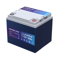 Baterai Lifepo4 12V 24V 50Ah Grade A Sel Baterai Lifepo4 Prismatik 3.2V Paket Baterai Lifepo4 dengan Smart BMS