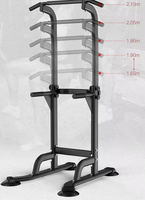Barre de traction en acier SP pour fitness intérieur, appareil de traction pour adultes, barres parallèles individuelles pour usage domestique, station de dips, tour de musculation