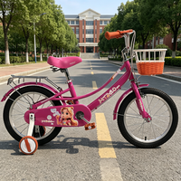 Vélo pour enfants avec cadre en acier, peinture thermolaquée, autocollant extérieur, freins à étrier, jantes en alliage, protège-chaîne, garde-boue et roues d'apprentissage silencieuses