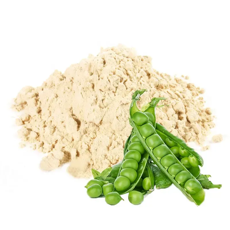 100% organic plant based hydrolyzed pea protein vegan chocolate flavor pea protein isolate powder