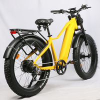 Vélo électrique mini haute puissance avec double moteur de moyeu arrière 500W, cadre en alliage d'aluminium, batterie lithium intégrée 48V 20Ah, Turquie